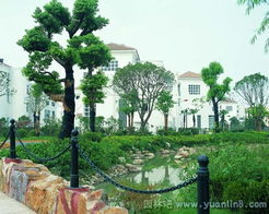 某别墅环境绿化工程实拍欣赏