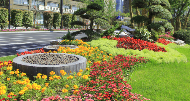 想要做好市政绿化工程，谨记这5点不会错！