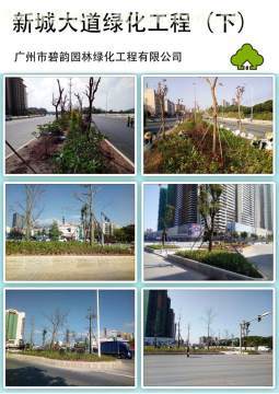 增城新城大道绿化工程 提升城市形象，筑就绿色长廊