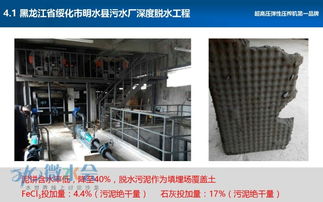 污泥深度脱水与资源化在绿化工程中的价值与应用方向探讨