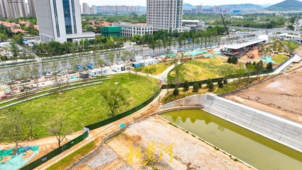 放眼皆是绿！济南杨家河两岸绿化提升工程取得新进展